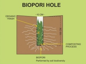 Biopori-graphic-401x300
